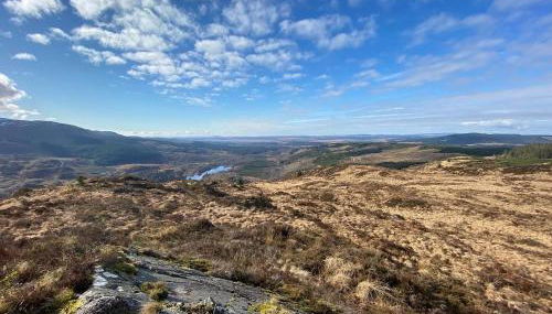 The Coorie - Photo 2