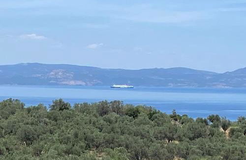 Pinelopis House, Skala Sikamineas, Molivos, Mytilene - Photo 28