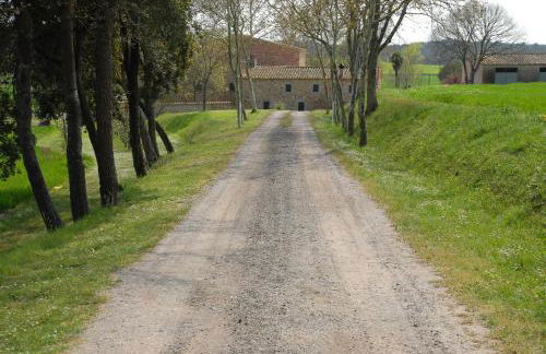 El Mas Pla - Foto 43