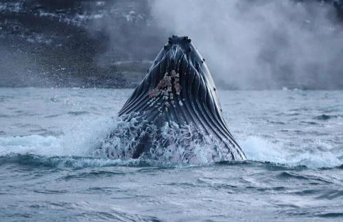 Waterloo Sunset - Foto 43