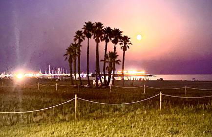 Nanda House - Photo 2