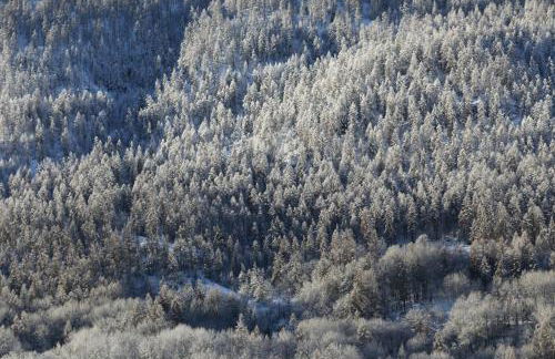 Ferme rénovée Serre Chevalier - Foto 20