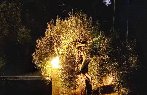 Gelbes Haus Korfu - Foto 41