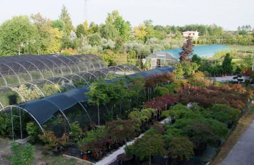 Agriturismo L'Acero Rosso - Foto 60