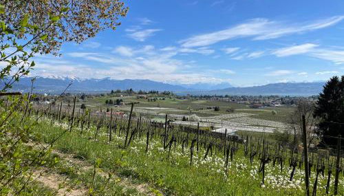 TANTE IDAS Apartments in Lindau - Foto 2