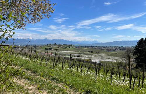 TANTE IDAS Apartments in Lindau - Foto 2