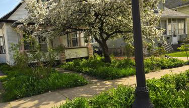 Pinkston Gardens - Foto 5, Garden, Garden view, Other