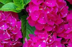 L’angolo d’aMare - Foto 33