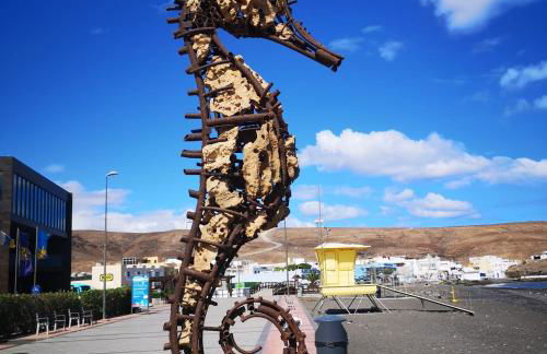 Estrella de Mar - Photo 37