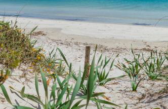 trilocale con piscina - Foto 12