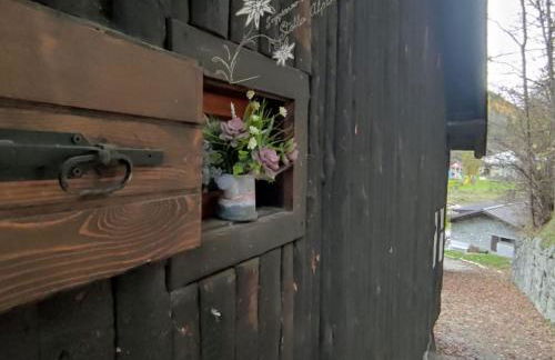 Soggiorno Vacanze Stella Alpina - Foto 67