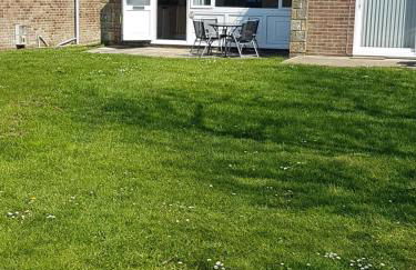 Brambles chine - Photo 21