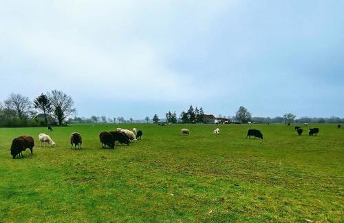 Ruhiges 4 Sterne Exzellenz-Appartement DIANA im Elb-Urstromtal - fast WLAN, good for long-terms - Foto 66