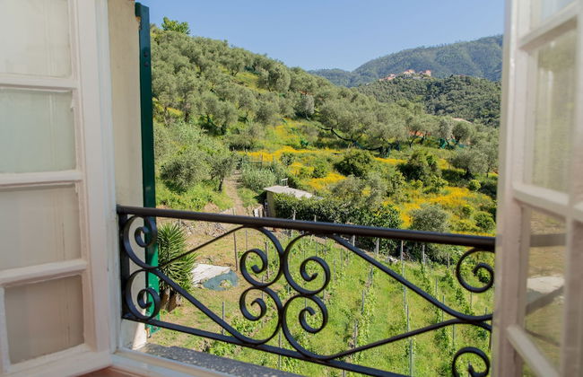 L'Amandola Villa - Agriturismo - Foto 56