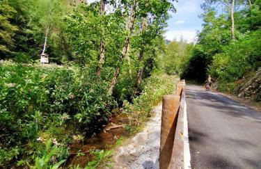 La SUITE delle Scuderie, con Vasca Freestanding, PetFiendly con Area Cani - Foto 47