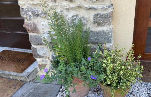 Casale del Pozzo-Villa with pool - Fosdinovo in the borgo of Pulica - Foto 69