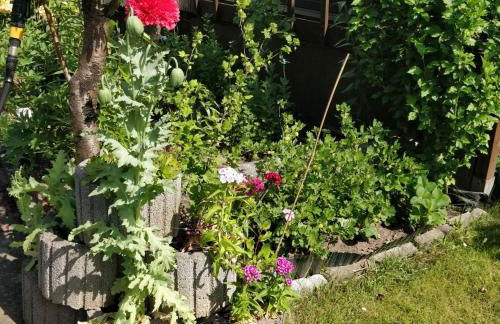 Gästehaus am Teich - Foto 16