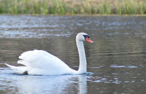 Kuća za odmor Gacka - Foto 37