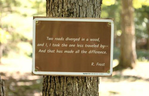 Cabin in the Woods - Hot Tub, Fire Pit, BBQ - Foto 23