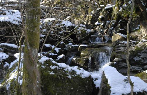 Tana Libera Tutti 3 Nature, Yourself, Love - Foto 46