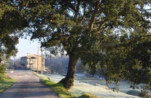 Quinta do Rio Alva and Glamping Lodges - Foto 39