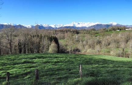 Maison avec vue, grand terrain clos, bain nordique privé toute l'année, animaux acceptés - Photo 39