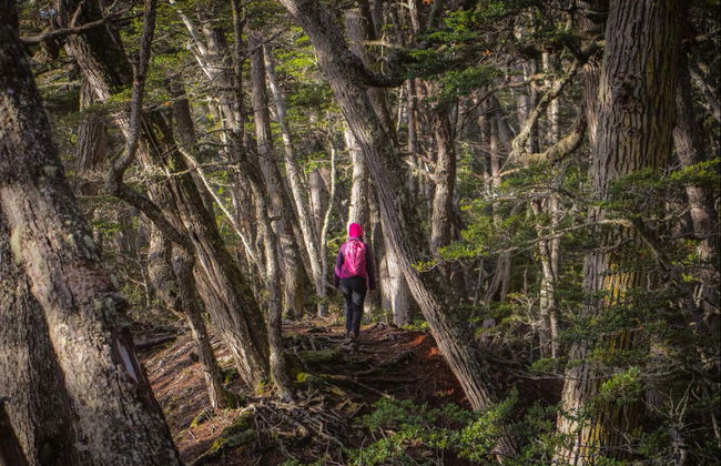 Bandera Hill Hike - Photo 2