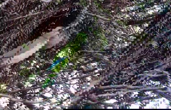 Apart Club San Pedro - Foto 32