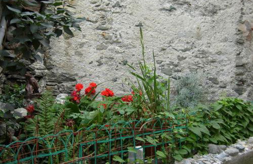 Martorey CIR 10 - Foto 28