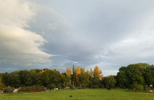 Zonnehof in het Geiseltal - Foto 17