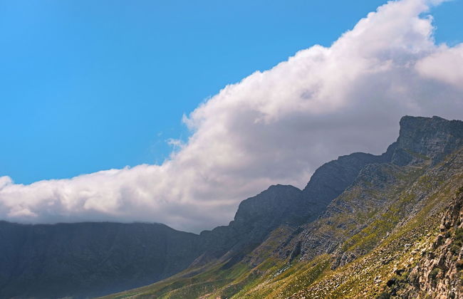 Tweede Boom - Photo 25