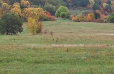 Ferienhaus Wanderlust - Photo 21