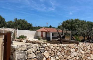 Tenuta L'uliveto - Foto 21