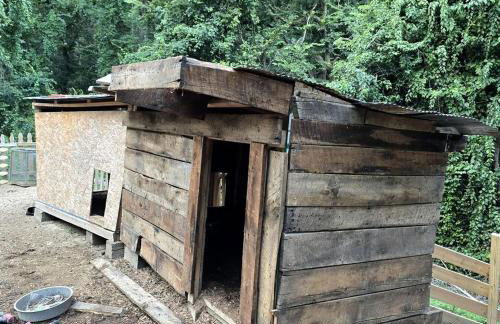 Remote Mountain A-Frame with BBQ Perfect for Nature Lovers in West Virginia - Foto 8