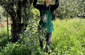 Quinta da Mata de Baixo - Foto 25