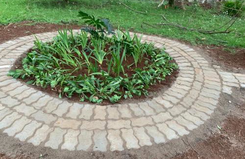 Chácara da Dinda - Photo 66