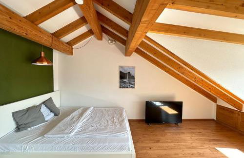 Cozy loft with a view, central, close to tradefair - Foto 29