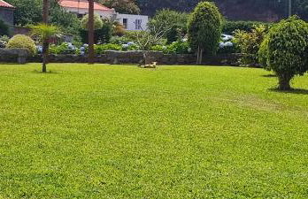 Recanto das Florenças - Casa 3 - Photo 14