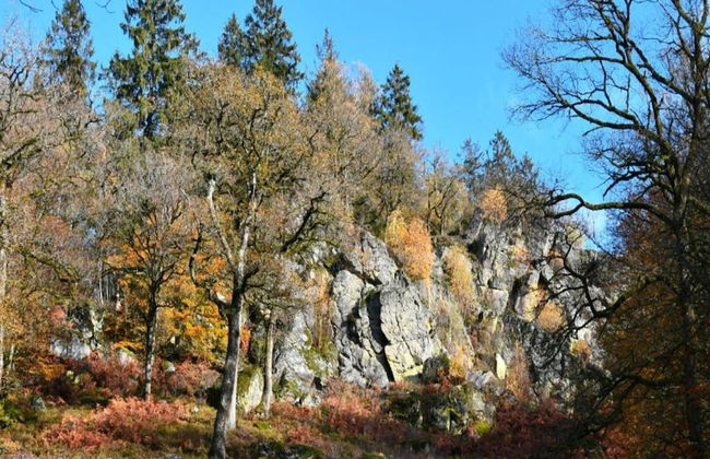 Family Villa Near Forest - Foto 17