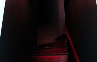 La Parenthèse Savane - Foto 2