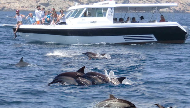 Dolphin Watching Cruise in Muscat - Foto 5