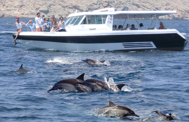 Dolphin Watching Cruise in Muscat - Foto 5