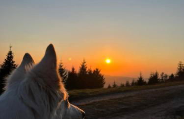 Tannenduft Freudenstadt - Foto 28