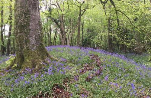 Upper Vobster Farm - Foto 13