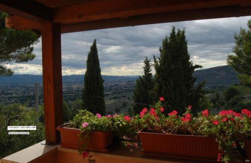 Azienda Agrituristica Il Moraiolo - Photo 28