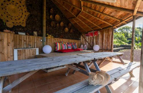 Atlantico Apartments - Photo 42