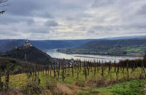 Ferienhaus SteigRhein - Foto 40