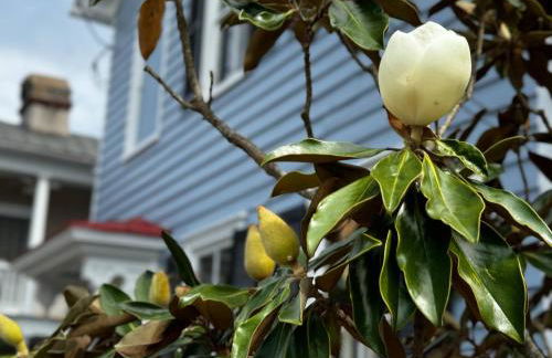 Historic City Charm | Private Modern Luxe - Foto 32