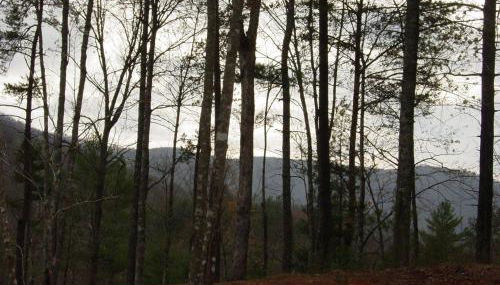 Cherokee Dream Mountain Lodge - Foto 4