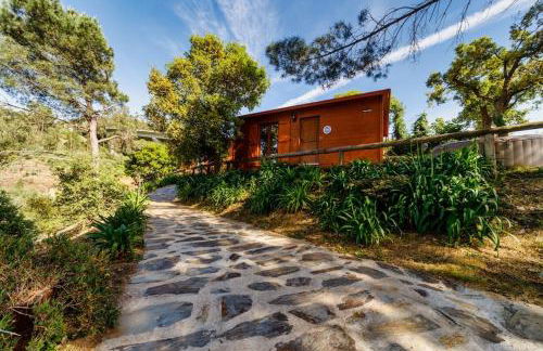 Arrabia Bunga Payva - Foto 1